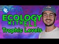 Aquatic Food Web Concepts