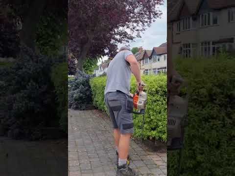 10 hours work in 60 seconds. song: DRIFT, Philip E Morris. #gardening #shorts  #gardentransformation