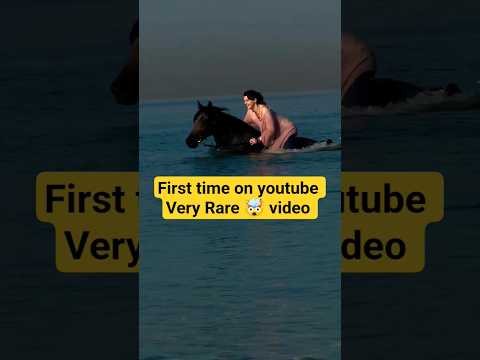 Horse 🐎 Riding 🛼 in Dubai | #shortsfeed #youtubeshorts | PKR's Vlog