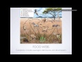 Ecosystem Dynamics and Interactions