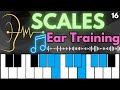 Identifying Musical Scales