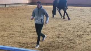 Training mit @esmuellert ich denke das Pferd macht das eleganter 😜