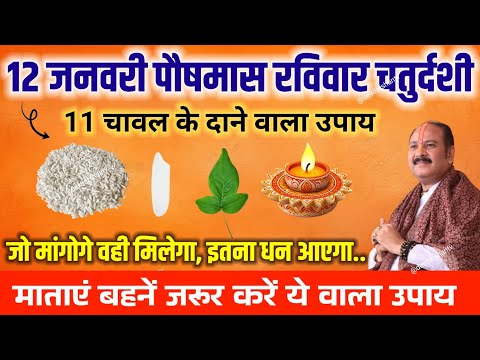 12 जनवरी पौष रविवार को 11 चावल के दाने वाला उपाय जरूर करें || Pradeep ji Mishra #upay