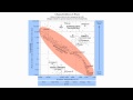Characteristics of Stars from ESRT Page 15