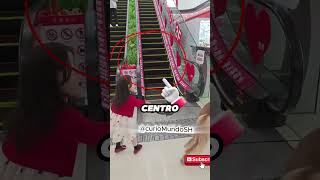 Nunca Lleves a un Caballo a un Mall 😳🐴