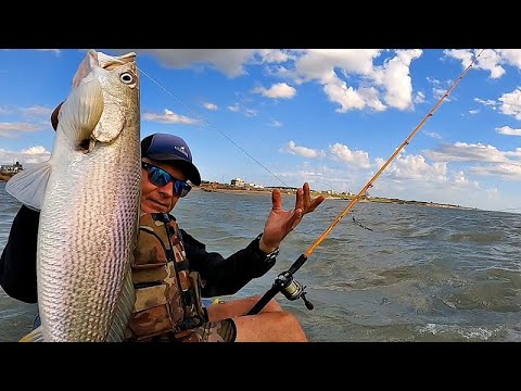 IMPRESIONANTE LA FUERZA QUE TIENEN ESTOS PECES