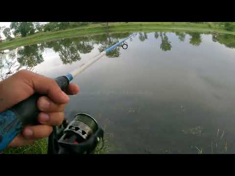 Tarde de pesca