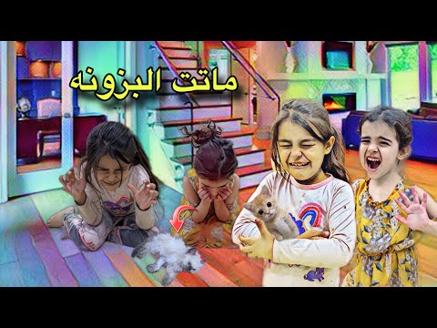 كلما نشتري بزونه تمووؤت