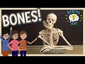 Understanding Bones