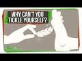 Understanding Tickling and the Brain