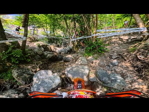 Sonny Goggia 🇮🇹 Wild Woods Extreme 2025 | Hot day!