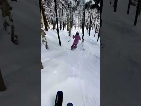 Skiing the trees @ Gore Mountain, NY #shorts #skiing #mountains #thecure
