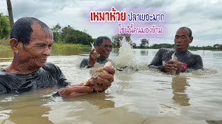 เหมาห้วยเลยวันนี้ปลาอีไทไซส์ยักษ์เพียบ บริเวณนี้ทีมงานอื่นเขาไม่ชอบ บอกเลยว่าเข้าทาง