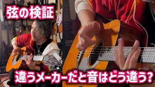【検証】弦の種類で音はどうなる？【ヤマハ FGX5】