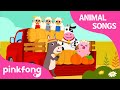 Farm Animal Sounds and Themes