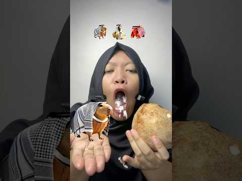 Menurut kalian lagu anomali versi arab yang satu ini keren tidak?
