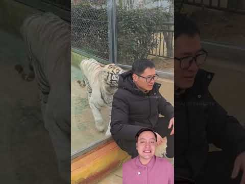 este le dio una sorpresa inesperada