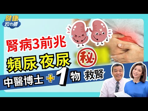 【頻尿夜尿傷腎?!】96%不知自己有腎臟病 中醫博士:觀察3徵兆【feat.中醫師 吳宏乾｜健康主播鄭凱云】