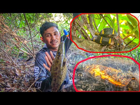 HOROR !!! Mancing Dibawah Ular Dapat Ikan Mirip Ular 😨