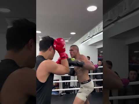 Boxer goes toe-to-toe with UFC champ Alex Pereira during a South Korea gym session 😳 #Boxing #MMA