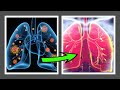 Boosting Blood Oxygen Levels