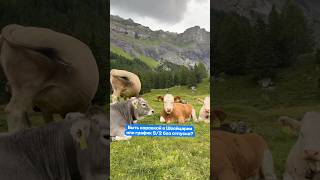 На размышление 5 секунд #путешествия #юмор #удивительноерядом