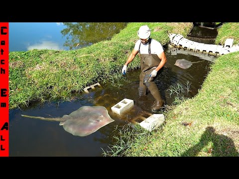 BUILDING a GIANT STINGRAY Proof ENCLOSURE for My FRESHWATER PETS!