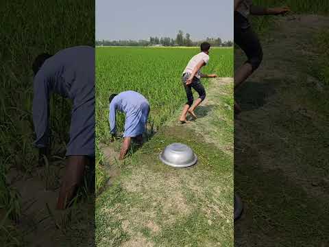 While working, there was a sudden noise under the pan.