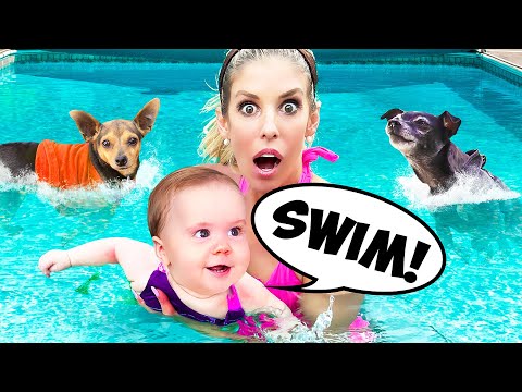 Our Daughter Controls Our Dogs Life for 24 Hours