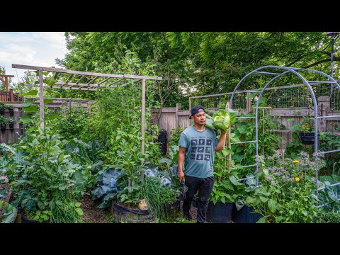 JULY 2025 GARDEN TOUR: How We Grow 500+ Plants WITHOUT Chemicals (natural pest management secrets) 🌱