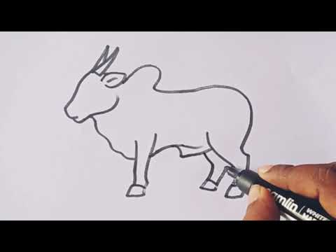 How to draw a Ox / Easy Bull 🐂 drawing / Easy Ox outline drawing step by step