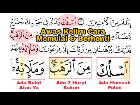 Baru Mulai Baca Sudah Ragu, Pahami 3 Bacaan Bacaan Khusus di Surat al-Qashash ayat 32