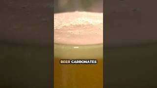 Why Beer Gets Carbonated (It's Just Science) #shorts