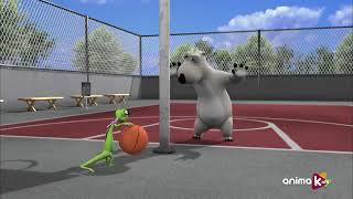Bernard Bear HD   16   Basketball