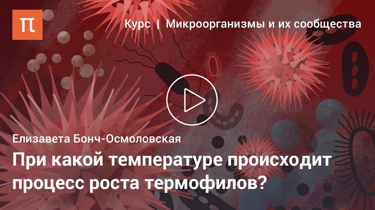 Термофильные микроорганизмы - Елизавета Бонч-Осмоловская