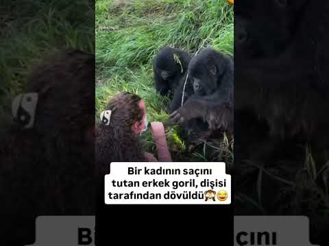 Hiç gülesim yoktu.😂#hakedeneşart#komik #komikvideolar #kıskanma#bayanolmak #öneçıkar#kesvetteyiz