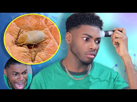 Ce que je découvre au microscope est HORRIBLE ! (Partie 1)