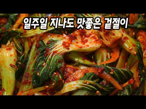 절일 필요 없이 5분이면 끝~ 10배 개운한 겉절이. 일주일 지나도 맛있어요!!💯 평생 써먹는 청경채 요리 만드는법.🥇 청경채겉절이 맛있게 만드는 방법.