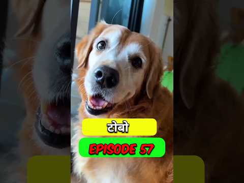टोबो ने मम्मा के लिए अदरक चाय बनाया ?#ytshort  #short