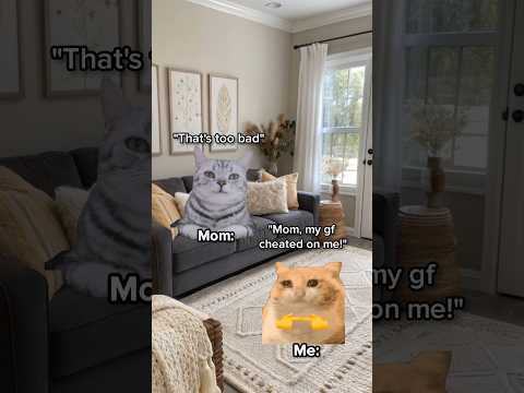 CAT MEMES 😺 Superpower gone wrong... #catmemes #relatable #relationship