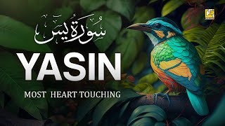World's most beautiful Quran recitation of Surah Yasin (Yaseen) سورة يس