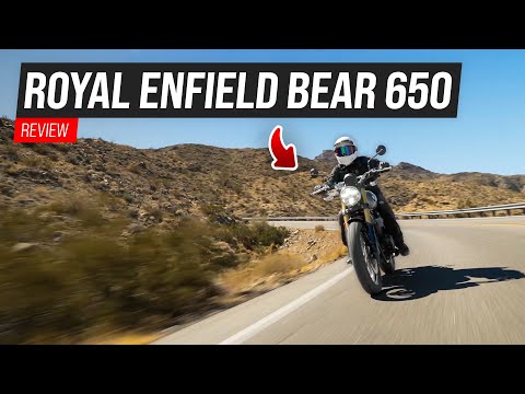 Royal Enfield Bear 650 Review | Visordown