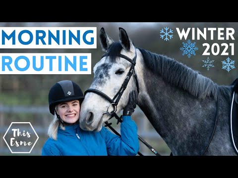 MORNING ROUTINE of an Equestrian | Winter 2021 AD | This Esme