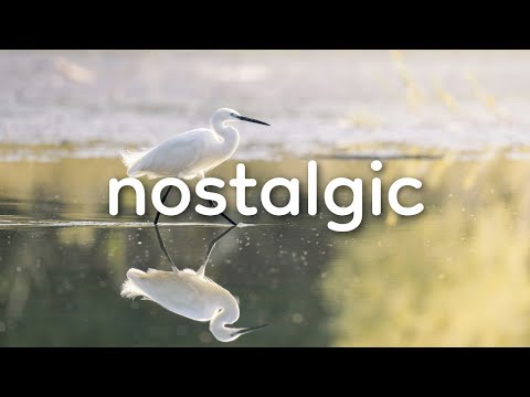 🌻 Nostalgic (Royalty Free Music) - "AMBERLIGHT" by Scott Buckley 🇦🇺