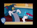 Tom & Jerry's Mischievous Adventures