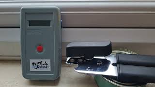 Update about Not My Cat