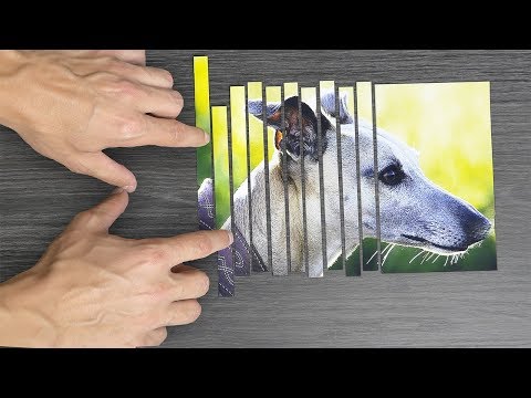 17 Amazing Experiments and Tricks! Compilation