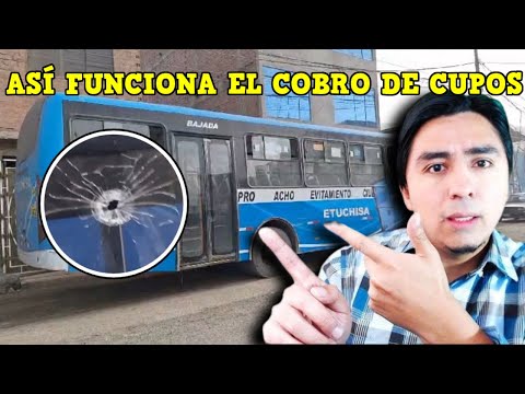 CUPOS A TRANSPORTISTAS. ¿Dónde comenzó y por que liberan a delincuentes?