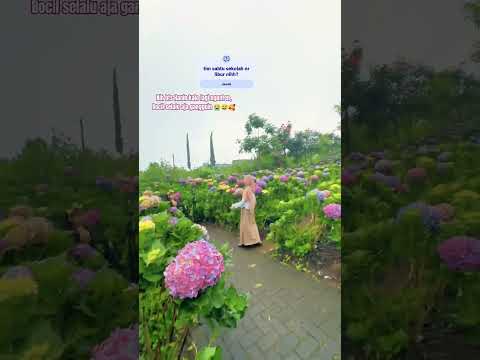 ada yang tau itu vidio nya yang mana hehe ๐๐
#hanin #subscribe #harusberanda #fypp #viral #beranda