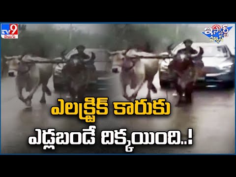 iSmart News : ఎలక్ట్రిక్ కారుకు ఎడ్లబండే దిక్కయింది..!  | Electrical Car - TV9